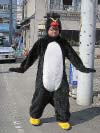 顔出しイワトビペンギン